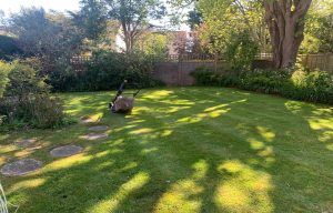 lawn mowing service Eastbourne