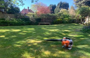 lawn care mowing leaf clearing Eastbourne