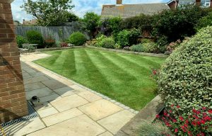 professional lawn mowing service Eastbourne East Sussex