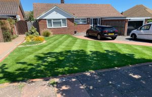 lawn mowing Eastbourne