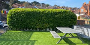 grass cutting garden care Eastbourne