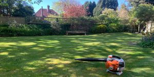 lawn mowing Eastbourne hedge cutting