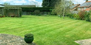 complete lawn care eastbourne